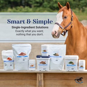 SmartPak Smart & Simple Garlic Fly Insect Control Powder Horse Supplement, 5-lb tub