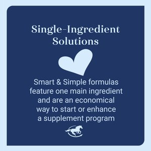 SmartPak Smart & Simple Garlic Fly Insect Control Powder Horse Supplement, 5-lb tub