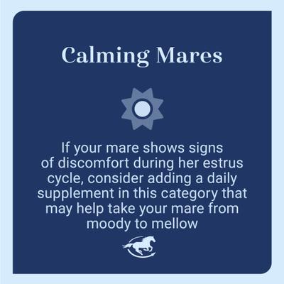 Show full view: SmartEquine Mare Ease Powder Horse Calming Supplement, 4.5-lb pail slide 3 of 5