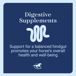 SmartPak SmartSupplements SmartDigest Ultra Paste Horse Digestive Aid Supplement, 1 count slide 2 of 6