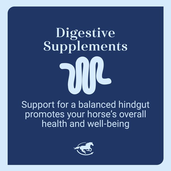Show full view: SmartEquine Gut Digestive & GI Support Formula Powder Horse Supplement, 2-lb jar slide 4 of 7