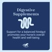 Show in main carousel: SmartEquine Gut Digestive & GI Support Formula Powder Horse Supplement, 2-lb jar slide 4 of 7