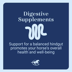 SmartPak Gut Digestive & GI Support Formula Powder Horse Supplement, 2-lb jar