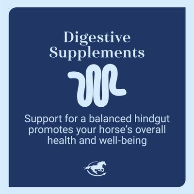 Show full view: SmartEquine Smart & Simple Psyllium Pellet Horse Supplement, 4.4-lb bag slide 4 of 8