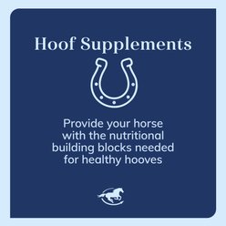 SmartPak Hoof Biotin Powder Supplement for Horses, 6-lb slide 2 of 3