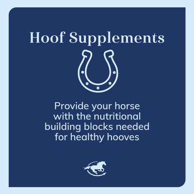 Show full view: SmartPak SmartSupplements SmartHoof Ultra Pellet Horse Hoof Care Supplement, 7.6-lb bag slide 3 of 7