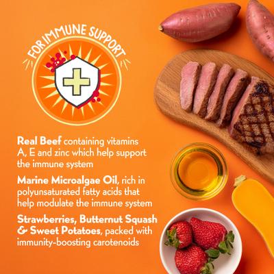 Show full view: Charlee Bear Necessities Freeze-Dried Beef Recipe Immune Health Support Grain-Free Dog Food Topper, 1-oz jar slide 5 of 10