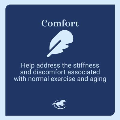 Show full view: SmartEquine Smart & Simple MSM Pellet Horse Supplement, 5-lb bag slide 3 of 6