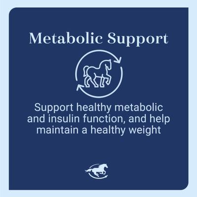 Show full view: SmartEquine Smart & Simple Chasteberry Pellet Horse Supplement, 4.5-lb bag slide 3 of 7