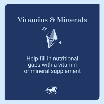 Show full view: SmartEquine Smart & Simple Kelp Granules Horse Supplement, 5-lb tub slide 5 of 7