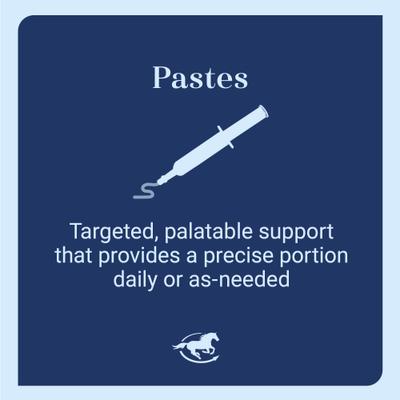 Show full view: SmartEquine Pro Formula Labs Lyte Now Elecrolyte Paste Horse Supplement, 30-cc tube slide 4 of 6