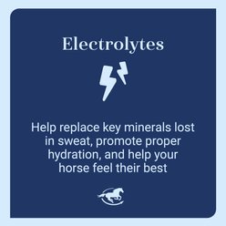SmartPak SmartSupplements SmartLytes Paste Horse Electrolyte Supplement, 1 count slide 2 of 7