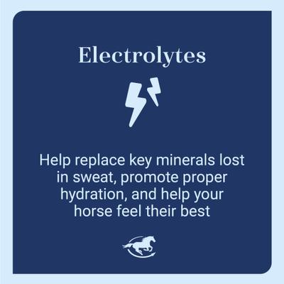 Show full view: SmartEquine Pro Formula Labs Lyte Now Elecrolyte Paste Horse Supplement, 30-cc tube slide 3 of 6