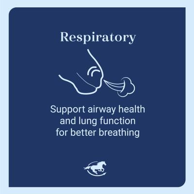 Show full view: SmartEquine Lung Eq Respiratory Support Pellets Horse Supplement, 4-lb bucket slide 4 of 7