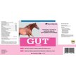 Show in main carousel: SmartEquine Gut Digestive & GI Support Formula Powder Horse Supplement, 2-lb jar slide 2 of 7