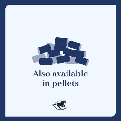 Show full view: SmartEquine Gut Digestive & GI Support Formula Powder Horse Supplement, 2-lb jar slide 5 of 7