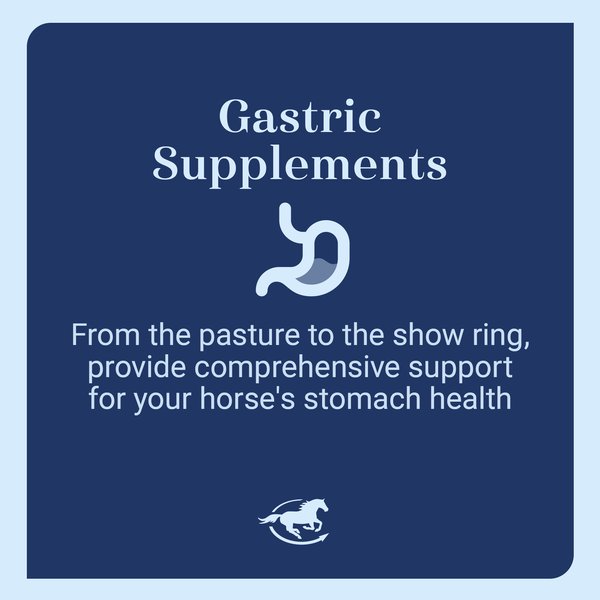 Show full view: SmartEquine Gut Digestive & GI Support Formula Powder Horse Supplement, 2-lb jar slide 3 of 7