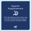Show in main carousel: SmartEquine Gut Digestive & GI Support Formula Powder Horse Supplement, 2-lb jar slide 3 of 7