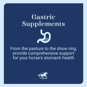 SmartPak Gut Digestive & GI Support Formula Powder Horse Supplement, 2-lb jar