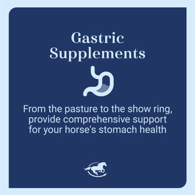 Show full view: SmartEquine Gut Digestive & GI Support Formula Powder Horse Supplement, 2-lb jar slide 3 of 7