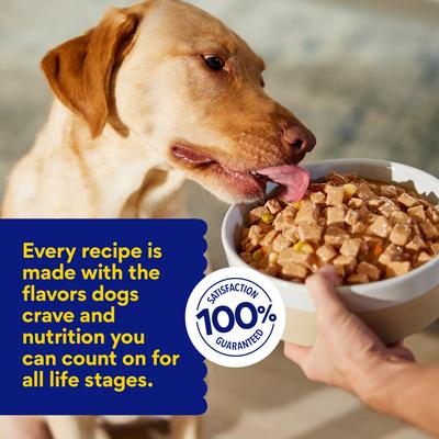 Show full view: Chewy Stews Chicken & Vegetables Recipe in Gravy Grain-Free Canned Dog Food (FORMERLY AMERICAN JOURNEY), 12.5-oz can, bundle of 24  slide 6 of 9