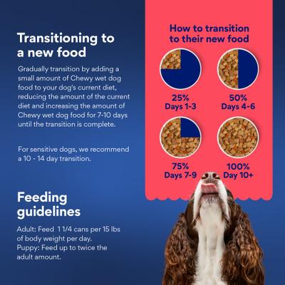 Show full view: Chewy Stews Beef & Vegetables in Gravy Grain-Free Canned Dog Food (FORMERLY AMERICAN JOURNEY), 12.5-oz can, bundle of 24  slide 4 of 10