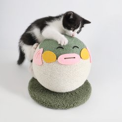 Fairela Pufferfish Cat Ball Toy, Green