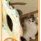 Show in main carousel: Fairela 16.5-in Princess Carriage Cat Scratcher, Orange/Green slide 7 of 9