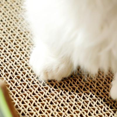 Show full view: Fairela 16.5-in Princess Carriage Cat Scratcher, Orange/Green slide 8 of 9