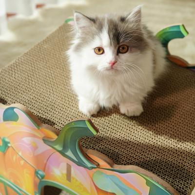 Show full view: Fairela 16.5-in Princess Carriage Cat Scratcher, Orange/Green slide 2 of 9