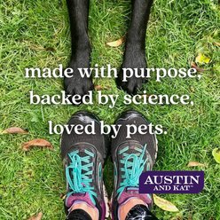 Austin and Kat Bakko's Hip & Joint 450mg Broad Spectrum Hemp Oil Liquid Supplement for Dogs, 1-fl oz bottle slide 2 of 4