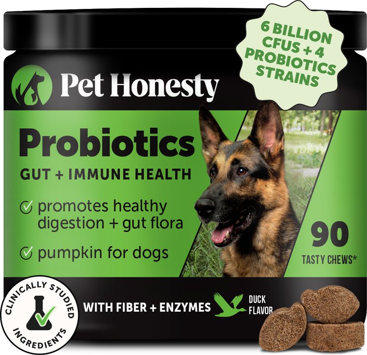 Dog Probiotic Supplements & Chews: Digestion Support | Chewy