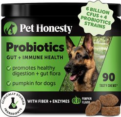 Pet Honesty Probiotics Gut + Immune Health Pumpkin Flavored Soft Chews, Digestive Probiotic Supplement for Dogs, 90 count