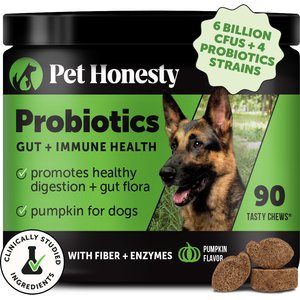 Pet Honesty Probiotics Gut + Immune Health Pumpkin Flavored Soft Chews, Digestive Probiotic Supplement for Dogs, 90 count