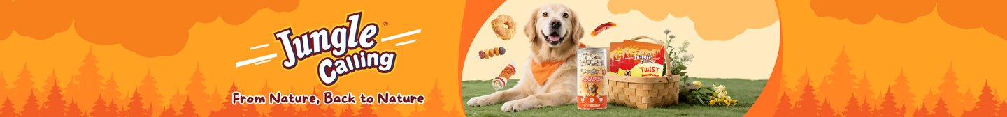 Jungle Calling From Nature, Back to Nature