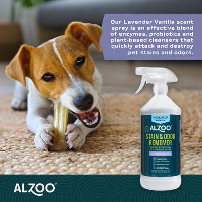 Show full view: ALZOO Stain & Odor Remover Dog & Cat Deodorizer Spray, Lavender Vanilla, 32-fl oz bottle slide 6 of 9