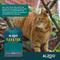 Show in main carousel: ALZOO Natural Plant Based Flea & Tick Collar for Cats slide 6 of 8