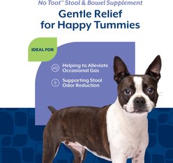 NaturVet No Toot Stool & Bowel Bacon & Chicken Flavored Supplement for Dogs, 70 count slide 2 of 7