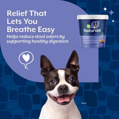Show full view: NaturVet No Toot Stool & Bowel Bacon & Chicken Flavored Supplement for Dogs, 70 count slide 3 of 10
