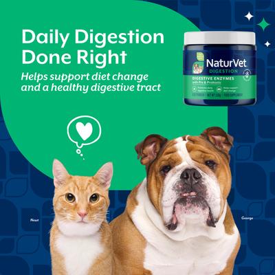 Show full view: NaturVet Digestive Enzymes Plus Pre & Probiotic Powder Supplement for Dogs & Cats, 8-oz jar slide 3 of 11
