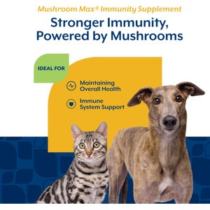 NaturVet Mushroom Max Immunity Hickory Smoked Bacon Flavored Supplement for Dogs & Cats, 120 count