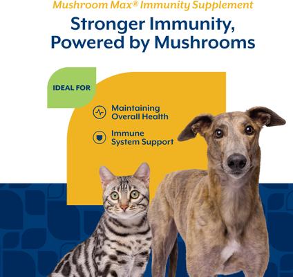 Show full view: NaturVet Mushroom Max Immunity Hickory Smoked Bacon Flavored Supplement for Dogs & Cats, 120 count slide 4 of 8