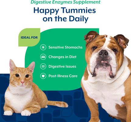 Show full view: NaturVet Digestive Enzymes Powder Supplement for Dogs & Cats, 10-oz bag slide 4 of 9