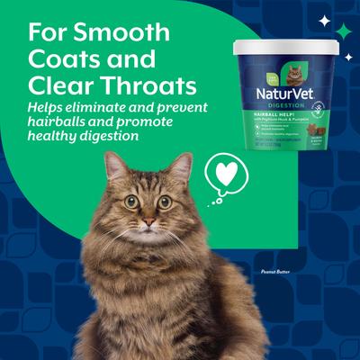 Show full view: NaturVet Hairball Help! Digestion Pumpkin Flavored Soft Chew Supplements for Cats, 100 count slide 3 of 9