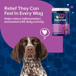NaturVet Joint Care Plus with Hemp Hip & Joint Hickory Smoked Bacon Flavored Soft Chew Supplement for Dogs, 120 count slide 2 of 7