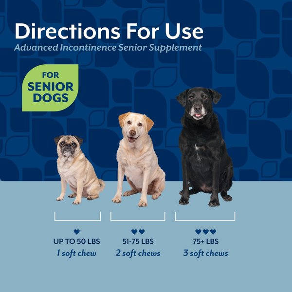 Show full view: NaturVet Advanced Incontinence Hickory Smoked Bacon Flavored Senior Supplement for Dogs, 60 count slide 6 of 8