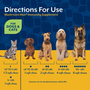 NaturVet Mushroom Max Immunity Hickory Smoked Bacon Flavored Supplement for Dogs & Cats, 120 count