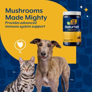 NaturVet Mushroom Max Immunity Hickory Smoked Bacon Flavored Supplement for Dogs & Cats, 120 count