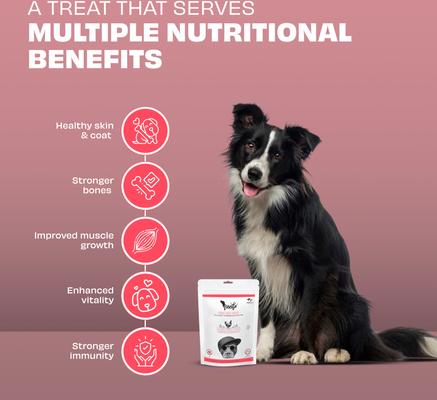 Show full view: Pawfect Woofur Chicken & Sweet Potato Air-Dried All Natural Grain-Free Jerky Dog Training Treat, 1.76-oz bag slide 4 of 9