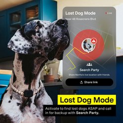 Fi Mini GPS Smart Dog Collar, Black slide 2 of 9